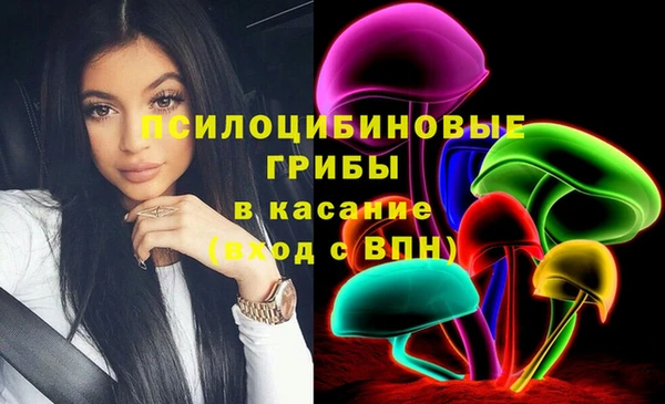 ПСИЛОЦИБИНОВЫЕ ГРИБЫ Алексеевка