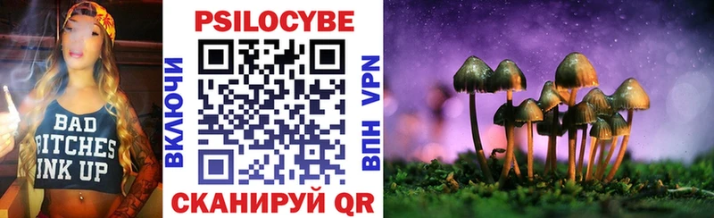 Галлюциногенные грибы Cubensis  Куровское 